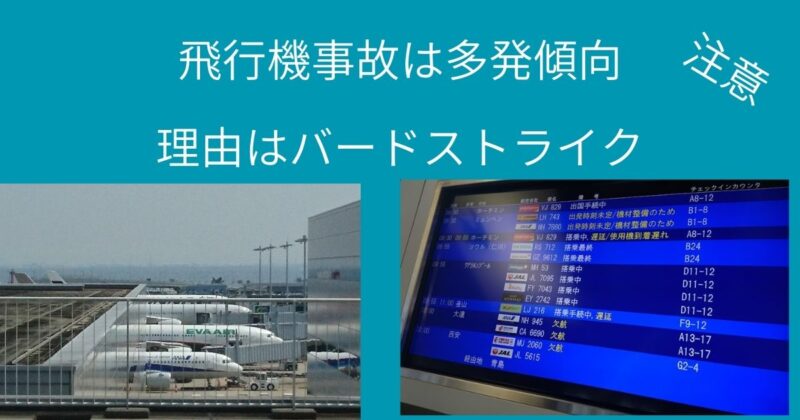 飛行機