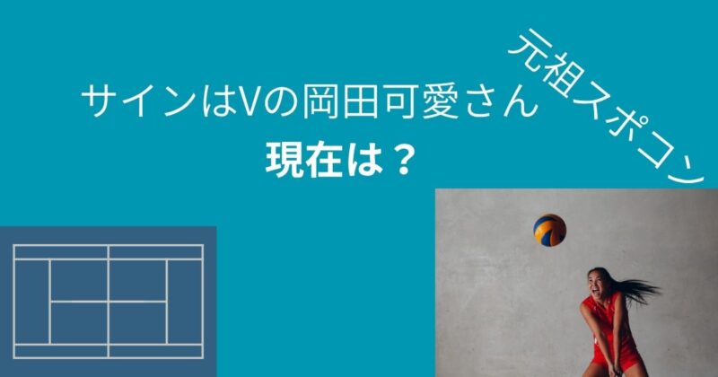 バレーボール