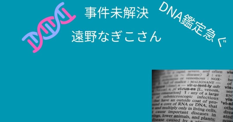 遠野なぎこ