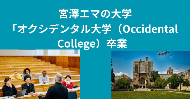宮澤エマ、大学