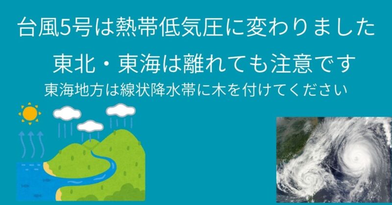 台風5号
